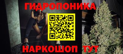 гашик Моздок