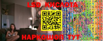 гашик Моздок