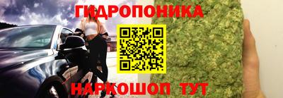 индика Можайск