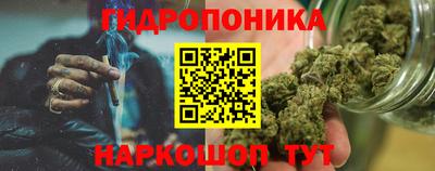 гашик Моздок