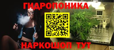 гашик Моздок