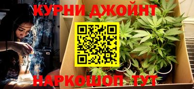 индика Можайск