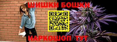 индика Можайск