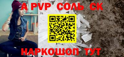 гашик Моздок