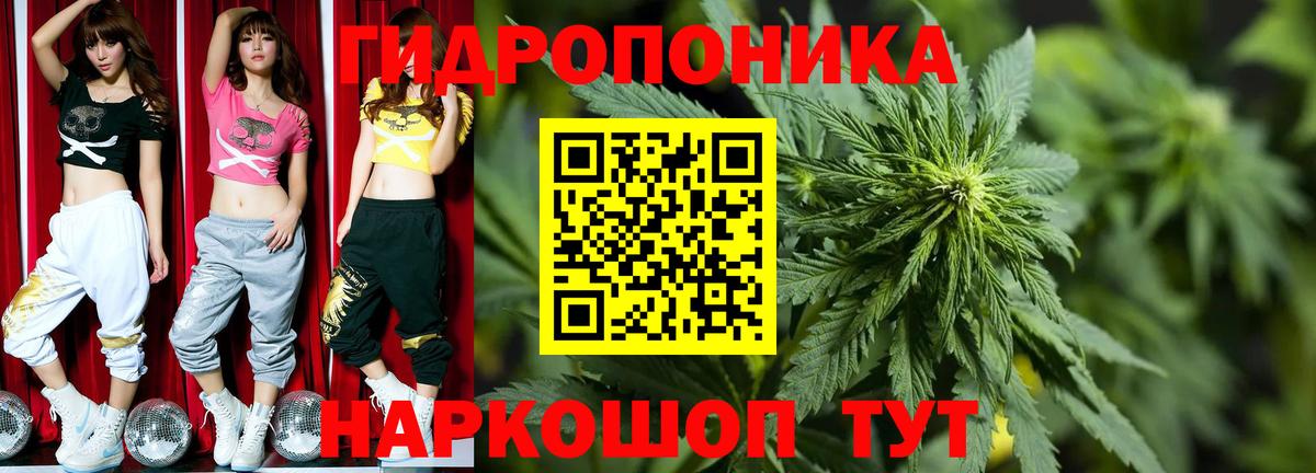 Бошки Шишки планчик  Конопля VHQ  Шишки марихуана ГИДРОПОН  Тулун  Вход с VPN 